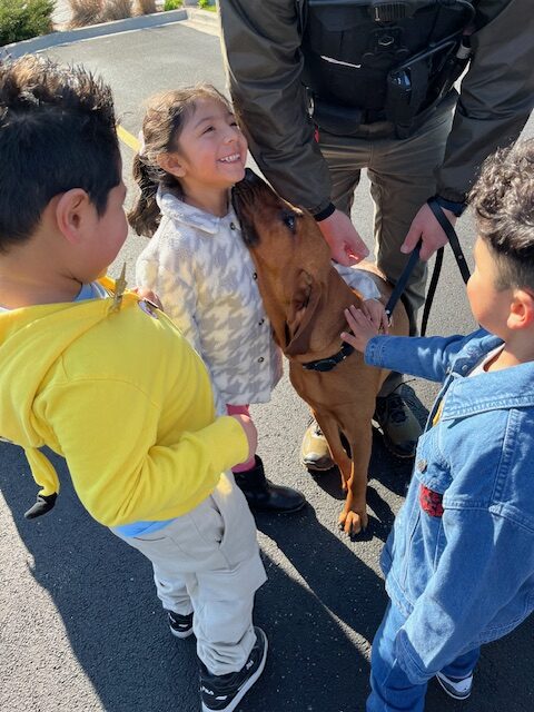 Young Children playing with and petting a Sheriff's Police K9 at the Touch a Truck event in Maine Township