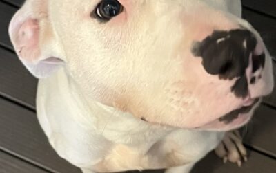 Delilah