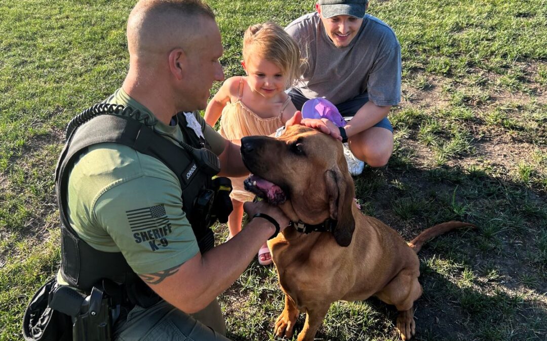 Maine Township Summer Fest