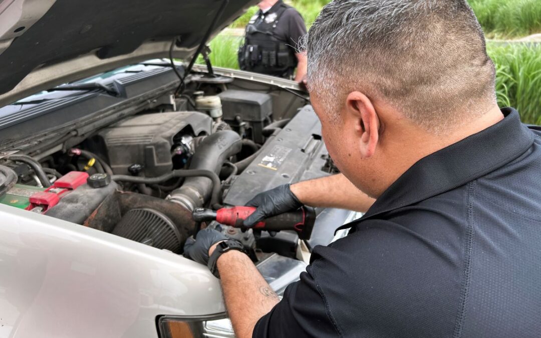 LightSaver Richton Park