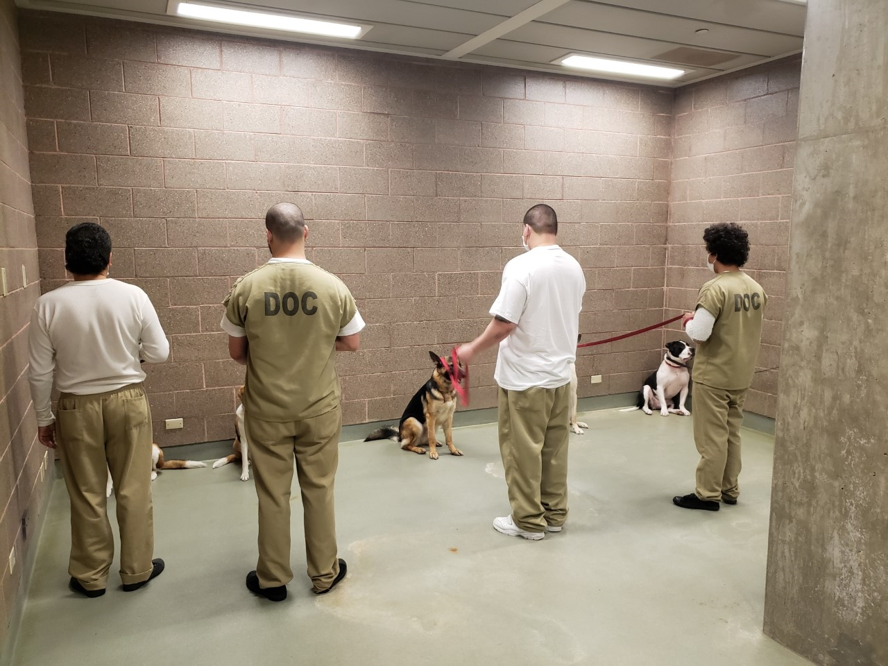 Group of Individuals in Custody with dogs